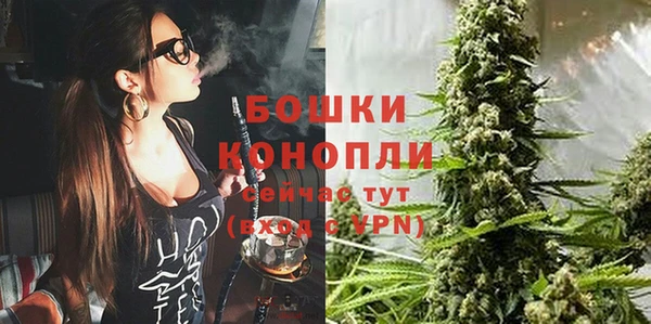 сатива Пестово