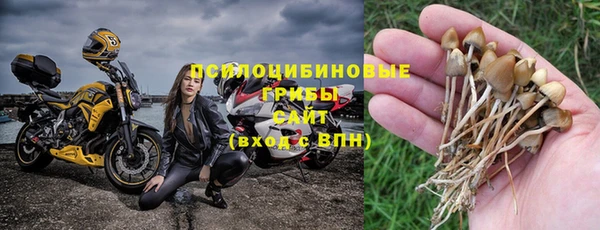 сатива Пестово