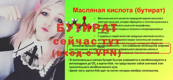 индика Осинники