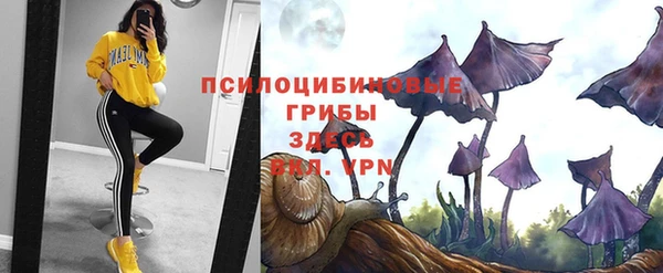 таблы Абаза
