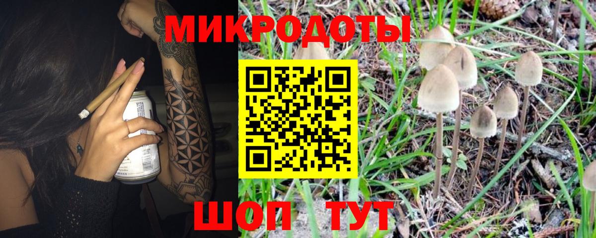 Псилоцибиновые грибы Cubensis  Асино 